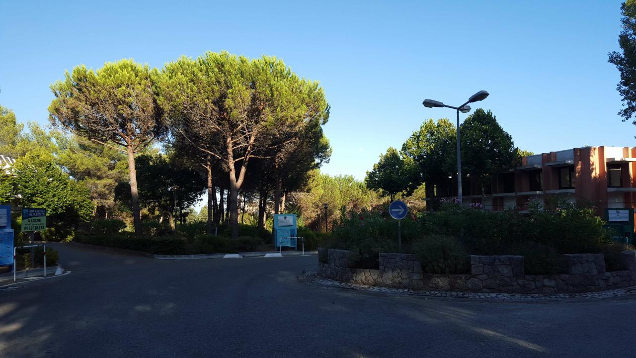 Bureau Sophia Antipolis 545m² Location bureau Sophia Antipolis Alpes-Maritimes OLBUR2114913 10